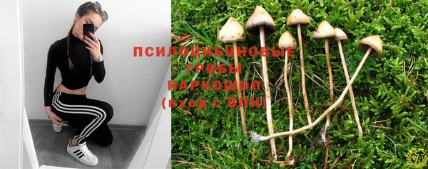 трава Пересвет