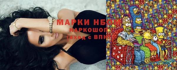 PSILOCYBIN Осташков