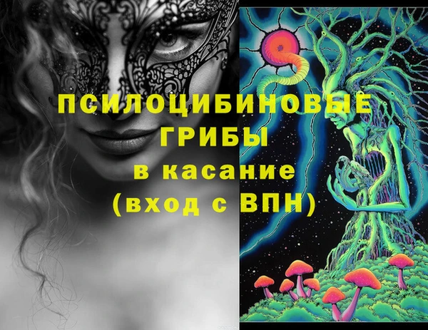 шишки Пестово