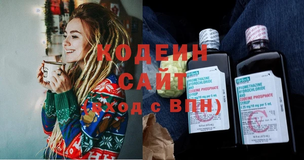 шишки Пестово