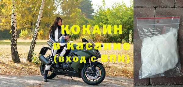 шишки Пестово