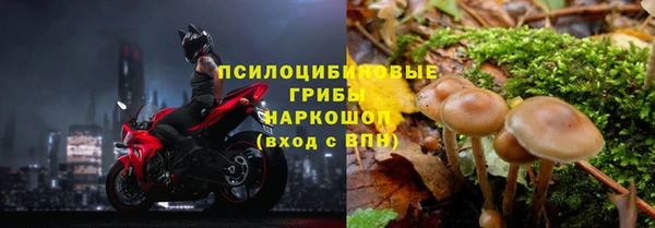 PSILOCYBIN Осташков